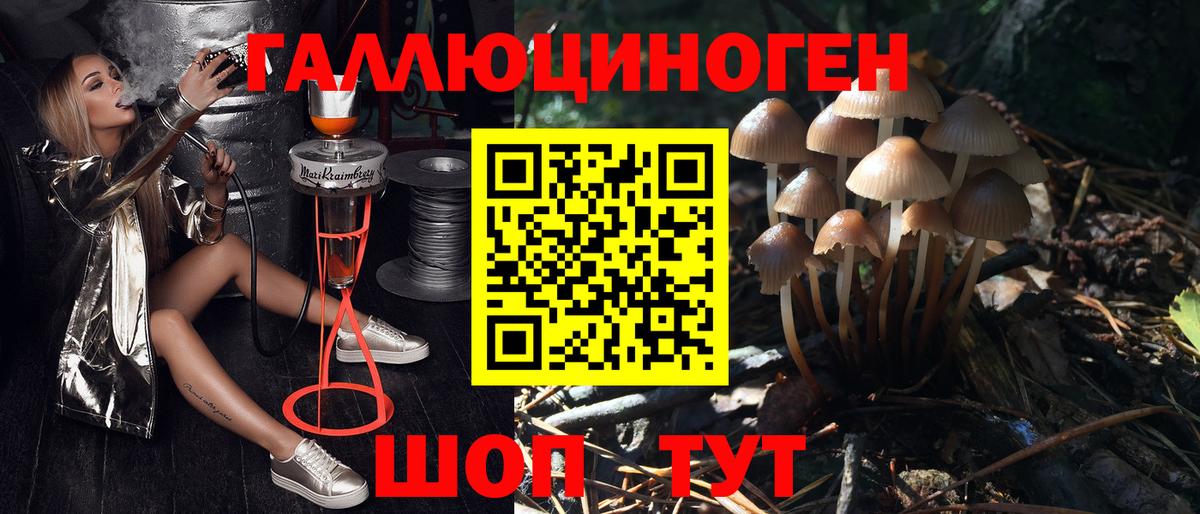 Отрадный  Псилоцибиновые грибы GOLDEN TEACHER  Псилоцибиновые грибы Cubensis  Вход с VPN 